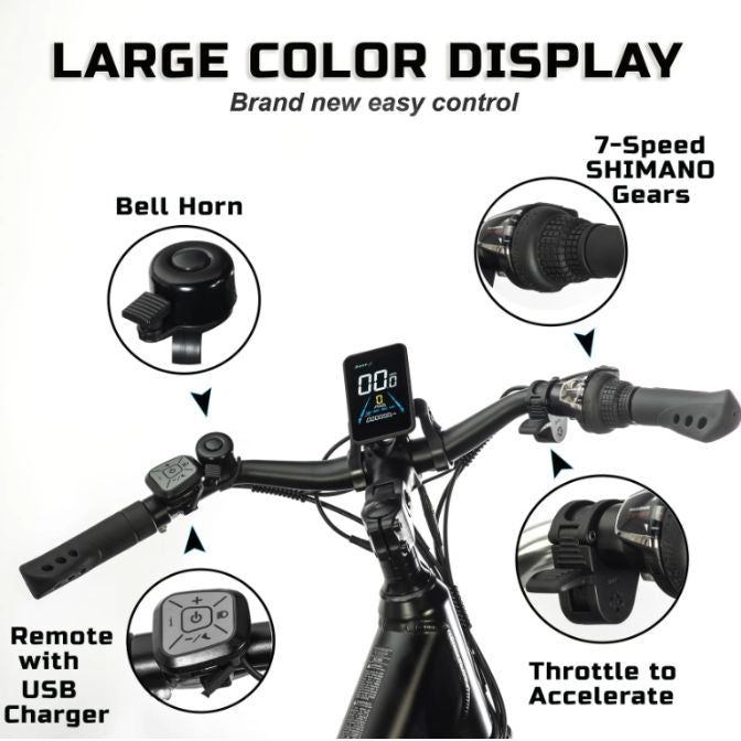 ROVER Trekking Mountain & City e-Bike 1