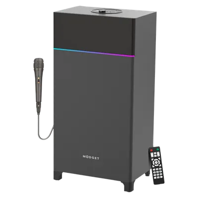 Karaoke Speakers